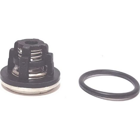 Kit Valvulas compatible con Os30D5  Ref 448137