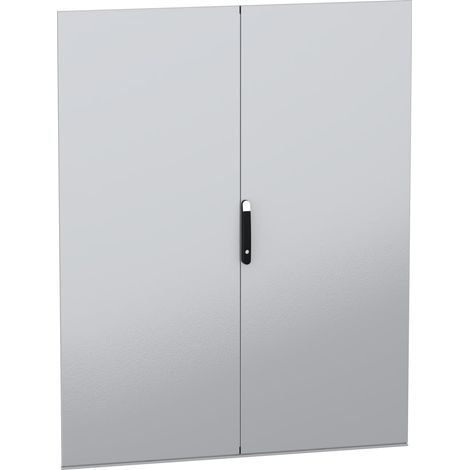 Porta piena doppia, PanelSeT SFN, Spacial SM, per armadio elettrico H2000 W1600mm - NSYSFND20162D