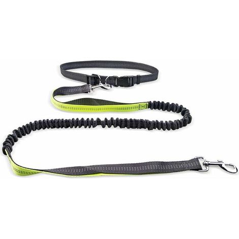 Laisse de Chien rétractable Mains Libres pour la Course à Pied avec Fil réfléchissant, Longueur de Ceinture réglable: 70-120cm Taille de Laisse: 160-190  2.5cm pour Chien de Moins de 110lb (1/5)