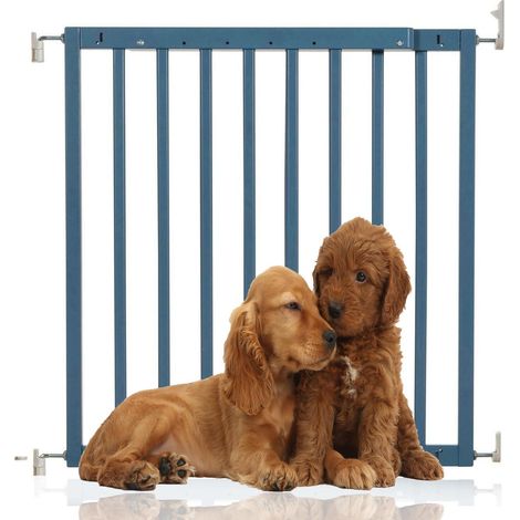 Bettacare Barrière Pour Chien En Bois Épais À Fixation Par Vis, 63,5cm - 105,5cm, Couleur Bleu Azur (1/5)
