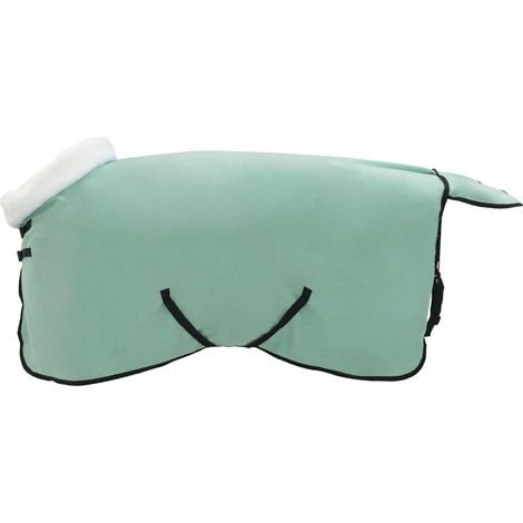 Horse Blanket Special Green 75 cm Polar fleece vidaXL