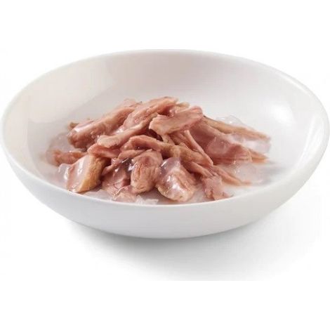 SCHESIR At煤n adulto en gelatina 24 x 85 g