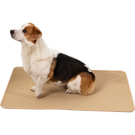 Tapis Absorption Urine Chien - Lavable Machine - Fond Antidérapant - Bord Doux Coudé - 60 x 90 cm - Lot de 2 (1/5)