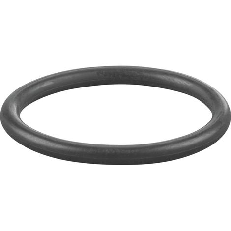 Rems O-Ring 060317