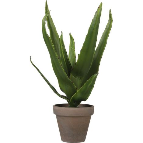 Mica Kunstpflanze Aloe Vera im Topf grün, 30 x 16 cm Kunstpflanzen