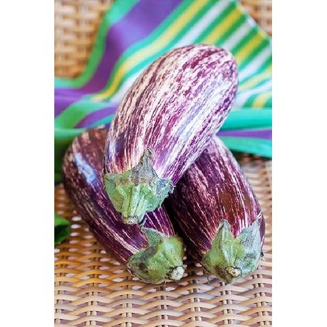 Aubergine Riado (Hybride F1) - 0,03g
