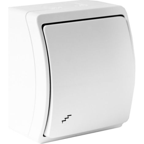Interruttore per scale a montaggio superficiale 10A 250V bianco IP44 153-01 DV 5768 (1/2)