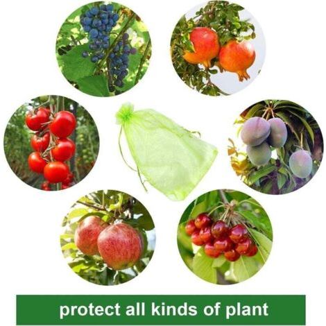 100 pièces Sac de protection de Grappes de Raisin, taille: 30 x 20 cm, couleur: vert, avec cordon, donne protection totale contre les guêpes, les oiseaux, Matériau: Organza