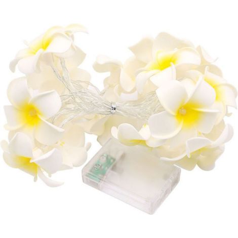 Guirlande Lumineuse - 6 M - 40 Led - Motif Fleur Hawaïenne Et Œuf - Rechargeable Usb-c - Ip44 - 1 Pièce (1/5)