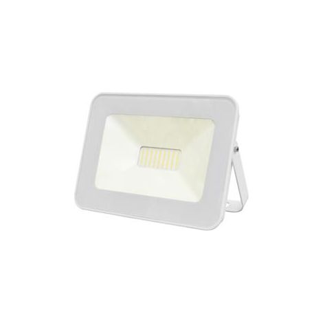 FW50N Proiettore Led Bianco 175-265VAC 50W 4000K