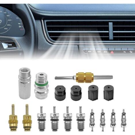 BUNTHAUS PA Kit nucleo valvola A/C per R12 o R134a Guarnizione in Teflon per valvola di servizio A/C e refrigerazione, kit tappo porta di ricarica A/C (1/4)