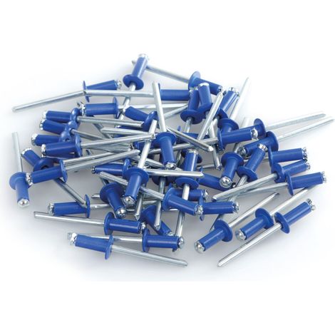 Aluminium Rivets, set 50 rivetti Graf per portatarga - Blu