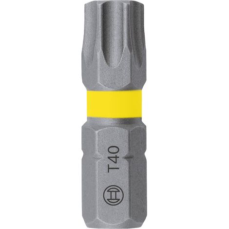 Bosch Screwdriver bits Screwdriver bit Extra Hard 2607002500