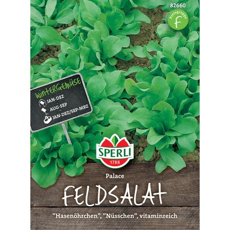 Sperli Feldsalat Palace - Gemüsesamen (1/3)