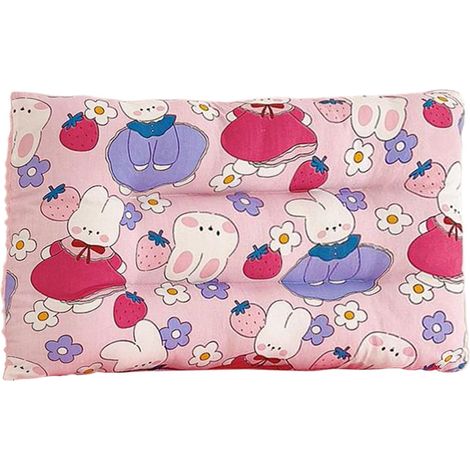 Oreillers Bébé - Oreiller Bébé Motif Dessin Animé  Coussin De  Soutien Doux Et Mignon Lavable en Machine pour Lit Sol Lecture Voiture Canape Chaise (1/5)