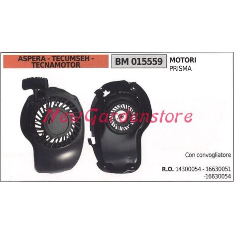 Inbetriebnahme ASPERA Rasenmähermotor Rasenmäher PRISMA 015559