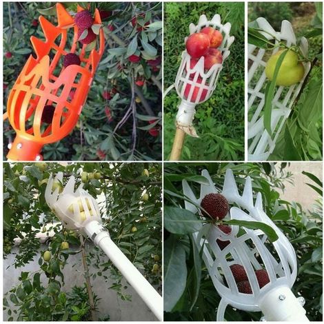 Tête de cueillette de fruits en plastique, panier profond, cueilleur de fruits, cueilleur de pommes et de pêches, ferme, jardin, dispositif de cueillette en plastique, République tchèque, (Blanc), (1/5)