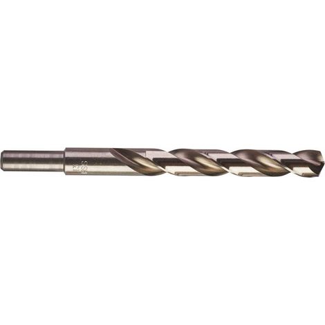 Milwaukee Thunderweb Mehrfarbiger Bohrer 13 mm 151 mm (1/3)