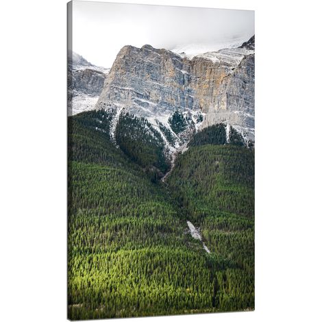 Leinwanddruck Natur Berghang Bäume 70x120
