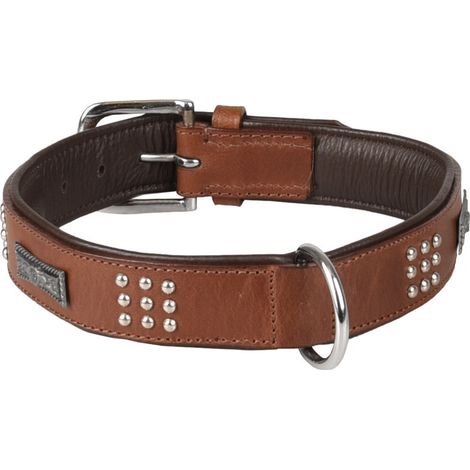Collier Cuir SEDONA brun taille XL 47-55 cm pour chien. - Flamingo (1/4)