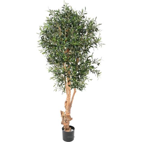 Olivier artificiel avec olives en pot tronc bois noueux H 170 cm Vert D 80 cm (1/3)
