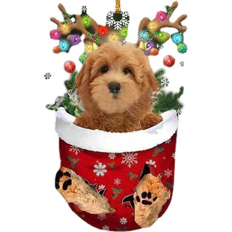 Autre décoration pour Noël,Décoration d'Noël en forme chien – Chaussettes Noël en acrylique pour sapin Noël Schnauzer Wiener Décorations Noël pour voiture miroir (1/5)
