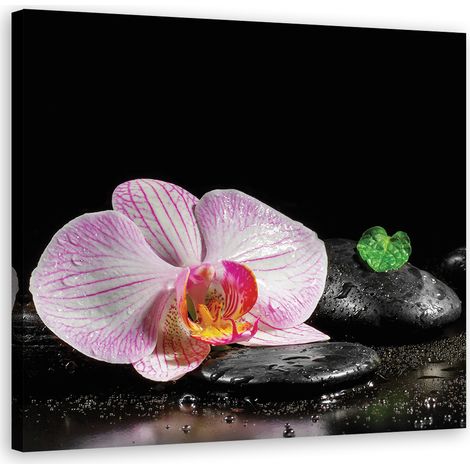 Quadro su tela, Uno zen in fiore di orchidea - 30x30 (1/4)