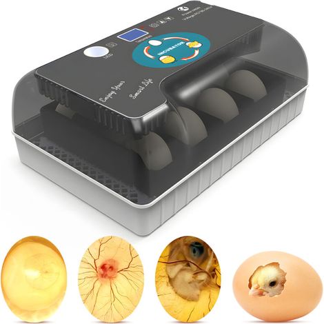 Brutapparate 12-35 Hühnereierbrutapparat mit automatischer Eierwende und Feuchtigkeitsregulierung für Enten, Wachteln, Küken (1/4)