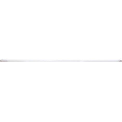Tubo LED 2500lm 1200mm 6500K