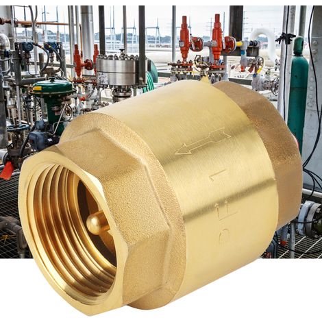 Präzisions-Rückschlagventil aus Messing mit Gewinde für Wasser, Gas und Öl (G1'') (1/5)