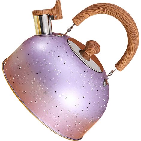 Bouilloire Bouilloire Whistle 2L Capacité Grand Fond Plat Induction Gaz Stainless Steel Purple (1/5)