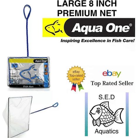 Épuisettes pour aquariums et bassins - Nettoyage et entretien des bassins, maille fine, grande taille (20 cm). (1/3)