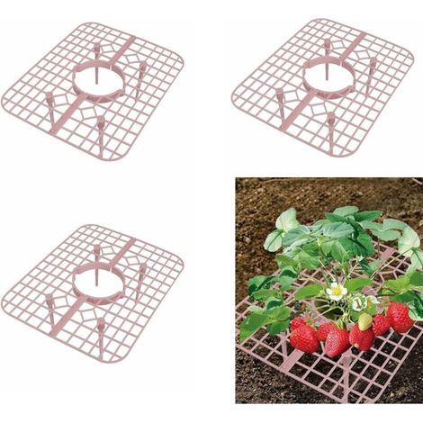 Set of 10 strawberry supports - Strawberry plant support - Plant support tray - Garden planting trellis (1/5)
