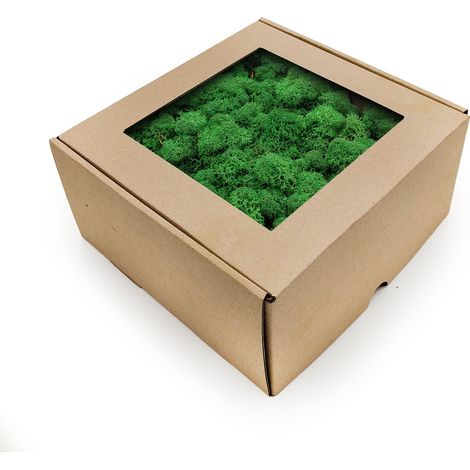Muschio di renna - Norvegia - Erba da ombra 500 g NETTO