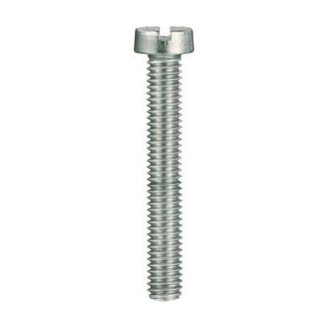 Viti per metallo testa cilindrica Inox A2 - 3 x 25 - 20 pz.
