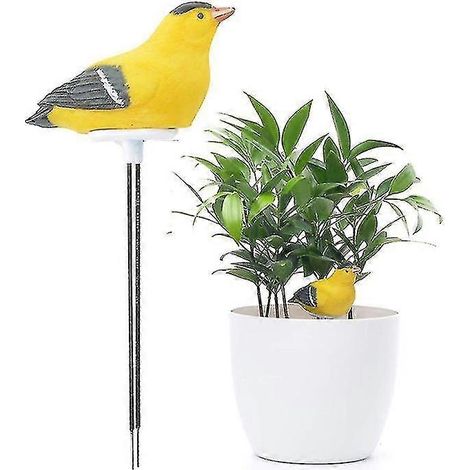 Testeur humidité sol avec alarme - Capteur d'arrosage - Outil de jardinage (1/5)