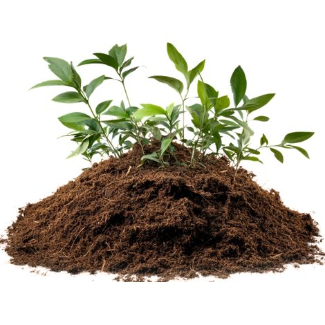 Kokosfasersubstrat für Pflanzen und Blumen, rein, gebrauchsfertig, 5 l (1/5)