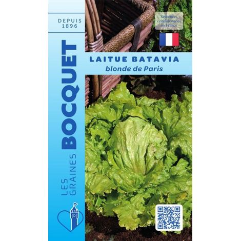 Laitue batavia blonde de Paris - 4g