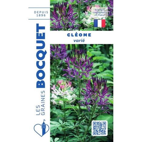 Cléome varié - 1g