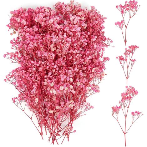 Gypsophila 100pcs Fleurs Séchées Gypsophile Rose Mini Fleurs Sechees Naturelles avec Pincettes, Grâce aux Bougies, Coques Téléphone, Manucure et Créations Résine (1/5)