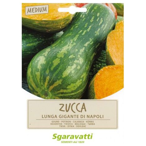 SEMI PER ORTAGGI E VEGETALI zucca lunga gigante di Napoli