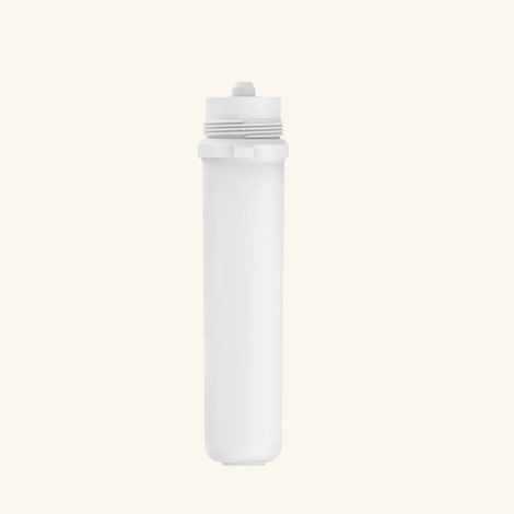 Cartouche Filtrante BWT pour mitigeur filtrant AQUASTAR Pro (1/5)