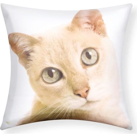 Housses de Coussin - AVIZAR - Lot de 2 - 40x40 cm - Motif Chat - Design Contemporain (1/5)