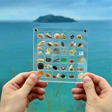 Boîte d'exposition magnétique en acrylique pour coquillages, coquillage en acrylique transparent à grille, A-- (1/5)