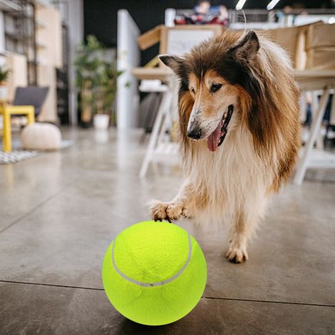 Balle de Tennis géante surdimensionnée de 9.5 pouces, balle gonflable avec pompe, jouet pour chien, Signature, enfants, adultes, animaux de compagnie, chiens, chats, amusant (1/5)