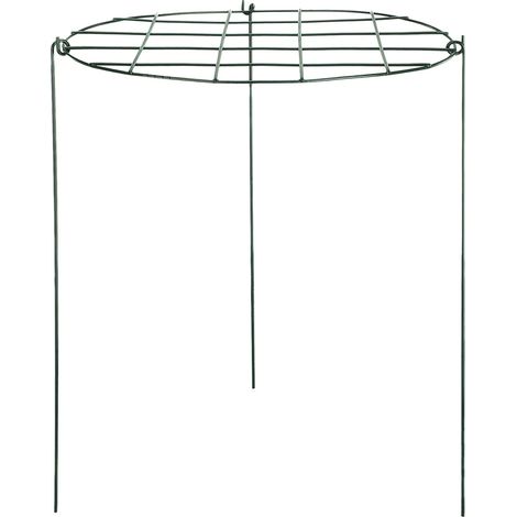 Support pour plantes en métal fer, forme de grille de jardin, tuteur pour fraisiers (1/5)