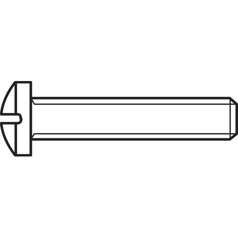 Vis à tête bombée TOOLCRAFT 830422 100 pc(s) M2 20 mm tête bombée cruciforme acier N/A C27155 (1/2)