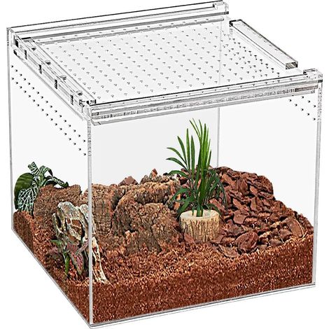 Terrarium en Acrylique Transparent pour Reptiles - Boîte d'Élevage Magnétique pour Lézards, Araignées et Insectes - 17x17x15 cm (1/5)