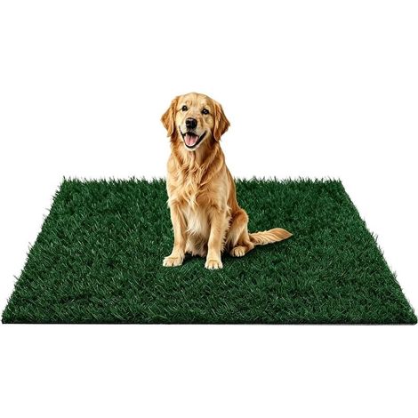 Tapis d'pour Chien Gazon Artificiel Lavable et réutilisable Tapis Gazon pour Entraînement à la Propreté Chien Pour maison intérieur extérieur salon balcon cour arrière porche chiot (1/5)