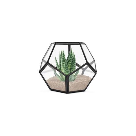 Terrarium géométrique de table, 19,8 x 19,8 x 16,5 cm, en métal et verre, pour plantes succulentes, pot de fleurs aérien, décoration de bijoux ou de mariage, boîte à fleurs, bougeoir (noir) (1/5)